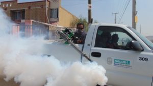 termite control